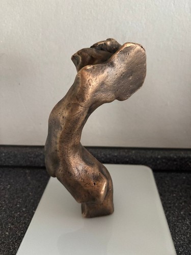 Kunst einzelstück natur - ,