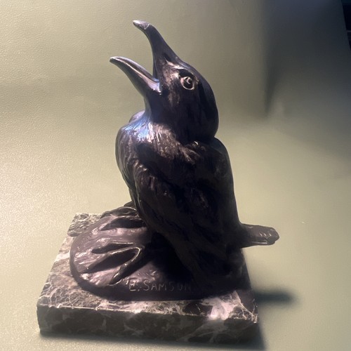 Vogel krähe rabe küken - rabe,