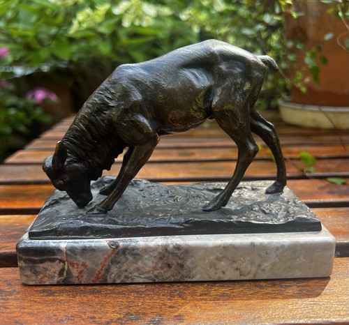Schaf grasend bronze auf - schaf,